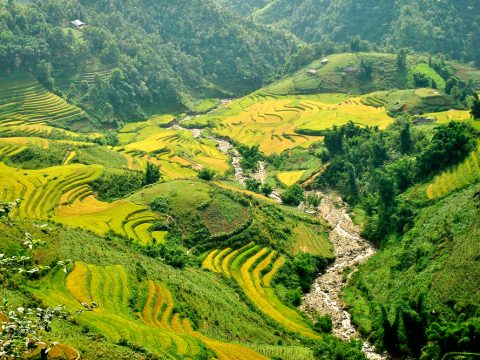 Classic Vietnam & Cambodia Tour in 16 Days